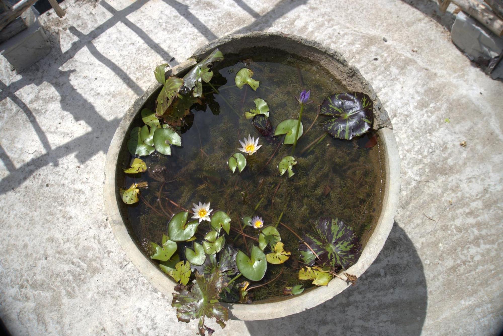 Passionfruit Homestay มาตารา ภายนอก รูปภาพ